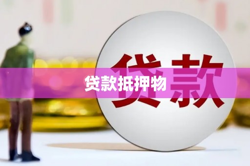 白碱滩贷款抵押物