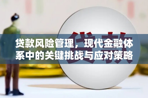 白碱滩贷款风险管理，现代金融体系中的关键挑战与应对策略