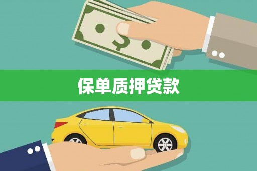 白碱滩保单质押贷款