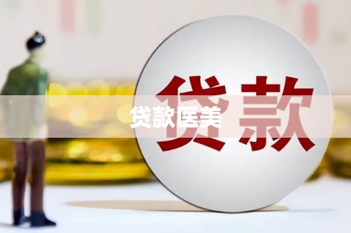 白碱滩贷款医美