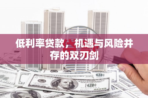 白碱滩低利率贷款，机遇与风险并存的双刃剑