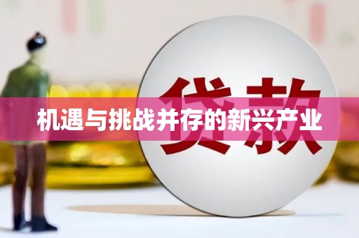 白碱滩机遇与挑战并存的新兴产业