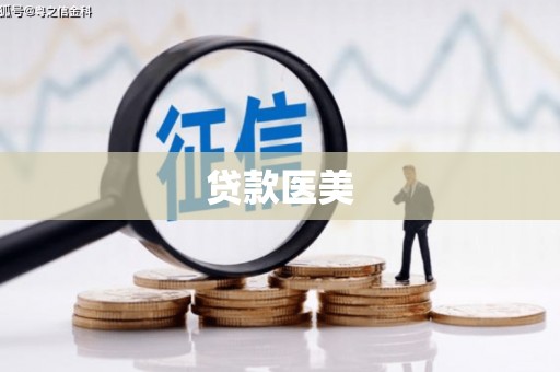 白碱滩贷款医美