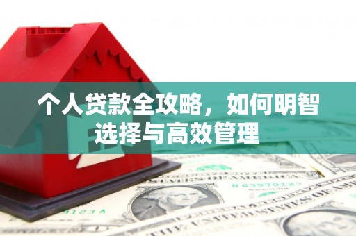 白碱滩个人贷款全攻略，如何明智选择与高效管理