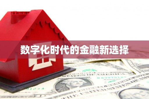 白碱滩数字化时代的金融新选择