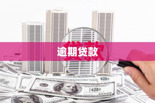 白碱滩逾期贷款