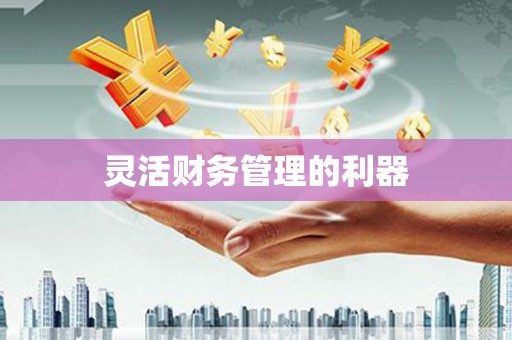 白碱滩灵活财务管理的利器
