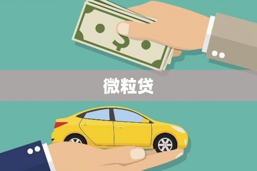 白碱滩微粒贷