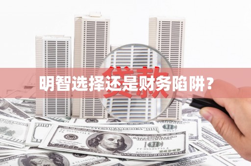 白碱滩明智选择还是财务陷阱？