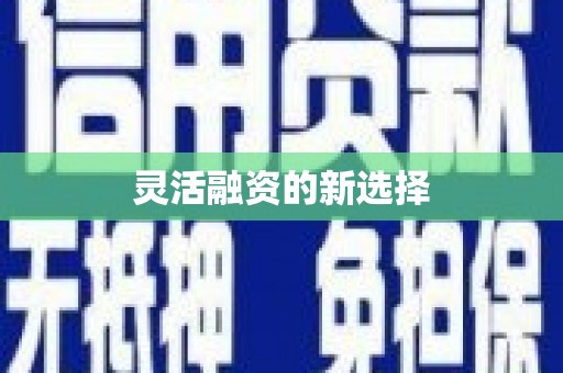 白碱滩灵活融资的新选择