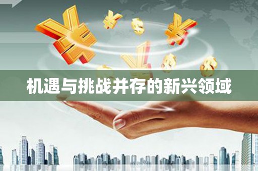 白碱滩机遇与挑战并存的新兴领域