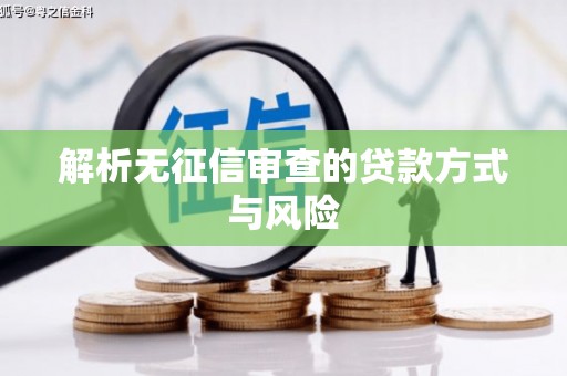 白碱滩解析无征信审查的贷款方式与风险
