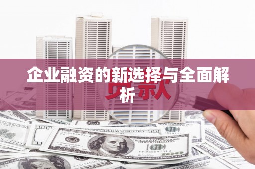 白碱滩企业融资的新选择与全面解析