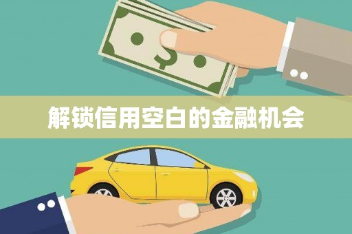 白碱滩解锁信用空白的金融机会