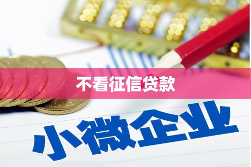 白碱滩不看征信贷款