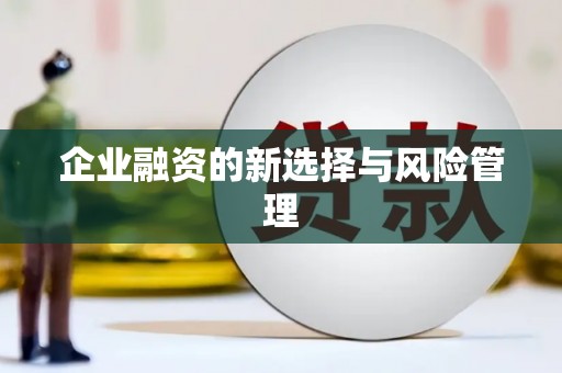 白碱滩企业融资的新选择与风险管理
