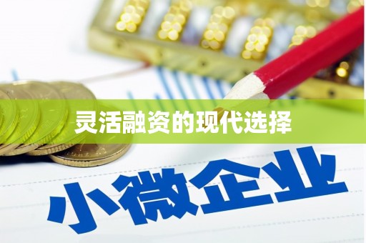 白碱滩灵活融资的现代选择