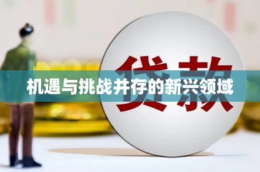 白碱滩机遇与挑战并存的新兴领域