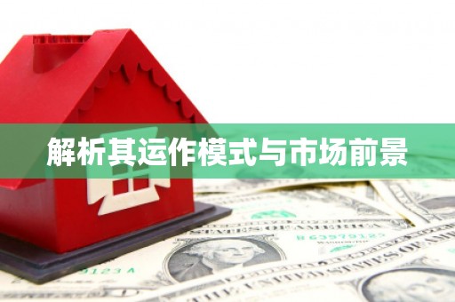 白碱滩解析其运作模式与市场前景