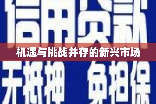 白碱滩机遇与挑战并存的新兴市场