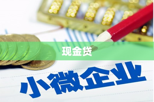 白碱滩现金贷