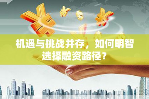 白碱滩机遇与挑战并存，如何明智选择融资路径？