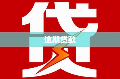 白碱滩逾期贷款