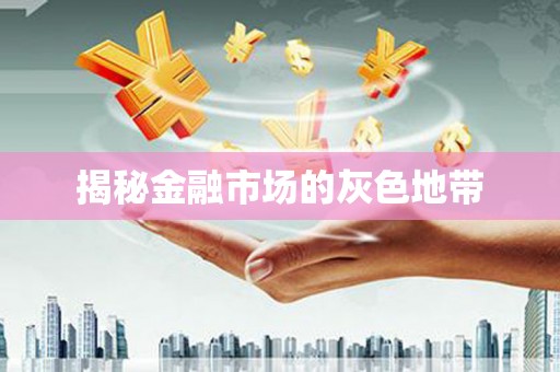 白碱滩揭秘金融市场的灰色地带