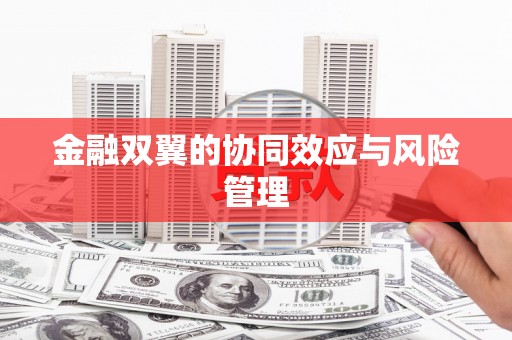 白碱滩金融双翼的协同效应与风险管理