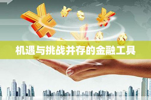 白碱滩机遇与挑战并存的金融工具
