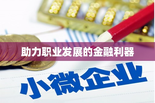 白碱滩助力职业发展的金融利器