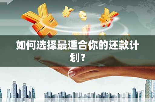 白碱滩如何选择最适合你的还款计划？