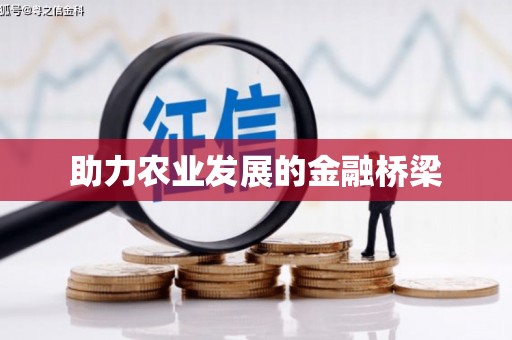 白碱滩助力农业发展的金融桥梁