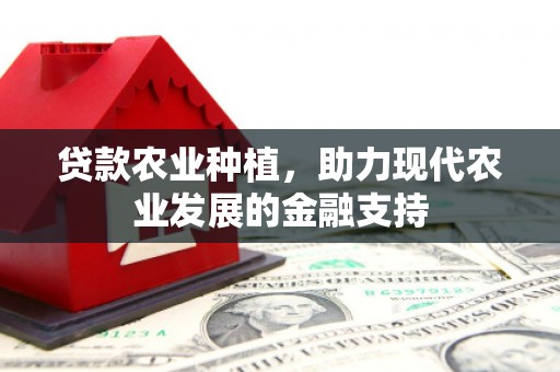 白碱滩贷款农业种植，助力现代农业发展的金融支持