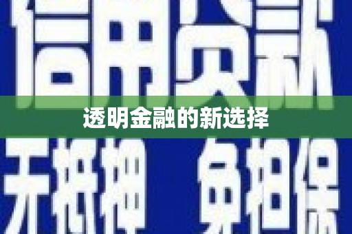 白碱滩透明金融的新选择