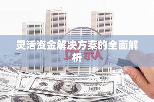 白碱滩灵活资金解决方案的全面解析