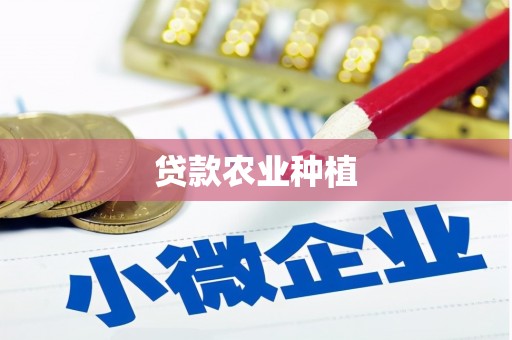 白碱滩贷款农业种植