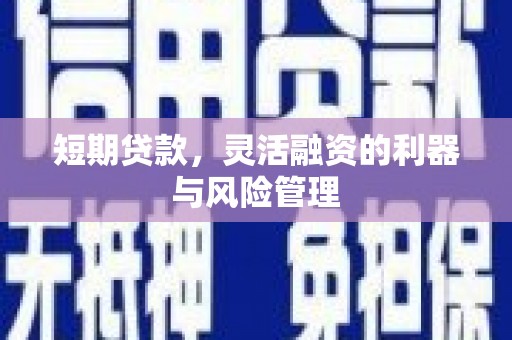 白碱滩短期贷款，灵活融资的利器与风险管理