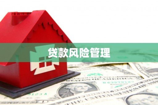 白碱滩贷款风险管理