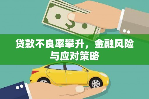 白碱滩贷款不良率攀升，金融风险与应对策略