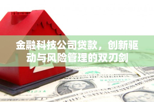 白碱滩金融科技公司贷款，创新驱动与风险管理的双刃剑