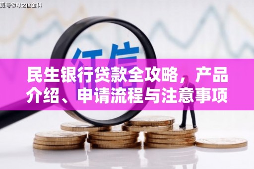 白碱滩民生银行贷款全攻略，产品介绍、申请流程与注意事项
