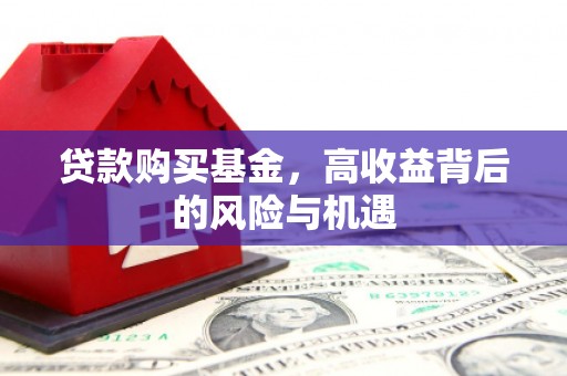 白碱滩贷款购买基金，高收益背后的风险与机遇